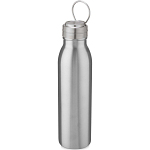 Harper 700 ml stainless steel water bottle with metal loop 1