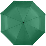 Alex 21.5 foldable auto open/close umbrella 4