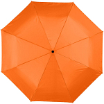 Alex 21.5 foldable auto open/close umbrella 4