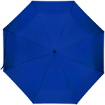 Dane 21 RPET umbrella 3