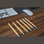 Touchpen din bambus 3