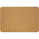 Trikona cork yoga brick 3