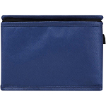 Spectrum 6-can recycled non-woven cooler bag 4L 3