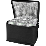 Spectrum 6-can cooler bag non-woven reciclata 4L 1