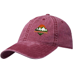 Grafton 6 panel washed cap 2