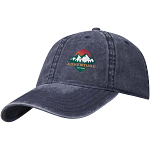 Grafton 6 panel washed cap 2
