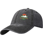 Grafton 6 panel washed cap 2