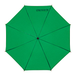 Automatic umbrella 2