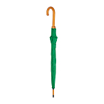 Automatic umbrella 3