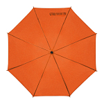 Automatic umbrella 2