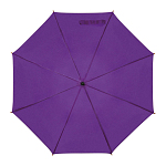Automatic umbrella 2