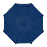 Automatic umbrella 2