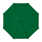 Automatic umbrella 2