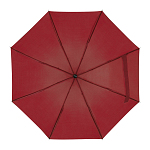Telescope collapsible umbrella 2