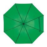 Telescope collapsible umbrella 2