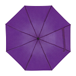 Telescope collapsible umbrella 2