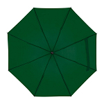 Telescope collapsible umbrella 2