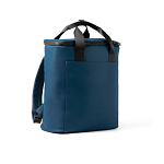 Rucsac termoizolant VINGA Baltimore Trail 4