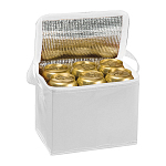 Polyester cooler bag 2