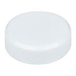 Magnet 1