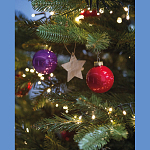 Decoratiune Stea 4