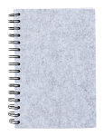 carnet RPET, Fionap 3