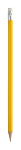creion, Woncil 1