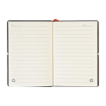 carnet RPU, Strappuk 2