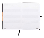 Agenda RPU, Corpux 2