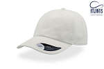 Sapca DAD HAT 1