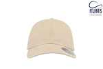 Sapca DAD HAT 2