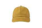 DIGG-S MUSTARD 2