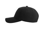 FIJI BLACK 4