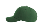 JOSHUA BOTTLE GREEN 4