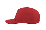 RAY-S RED 4