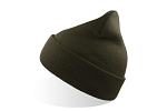 WIND-S OLIVE 1