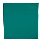 Square Handkerchief Bandana 2