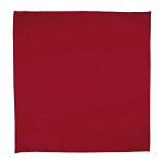 Square Handkerchief Bandana 2