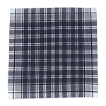 Square Handkerchief Hierbas 2