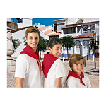 Triangular Handkerchief Gala 1