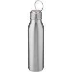 Harper 700 ml stainless steel sport bottle with metal loop 1