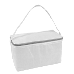 Non-woven fabric cooler bag with silver interior 1