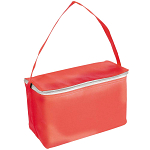 Non-woven fabric cooler bag with silver interior 1