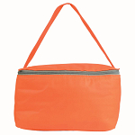 Non-woven fabric cooler bag with silver interior 2