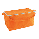 Non-woven fabric cooler bag with silver interior 1