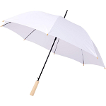 Alina 23 auto open recycled PET umbrella 1