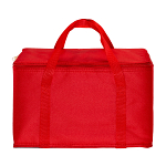 Cooler bag with silver interior 2