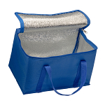 Cooler bag with silver interior 3