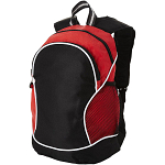 Boomerang backpack 22L 1