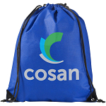 Evergreen non-woven drawstring bag 5L 3
